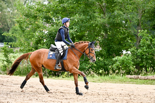 Goldene Schärpe Ponys in Löningen 2026 | 06062026 Gelände 1 Abt_1358 