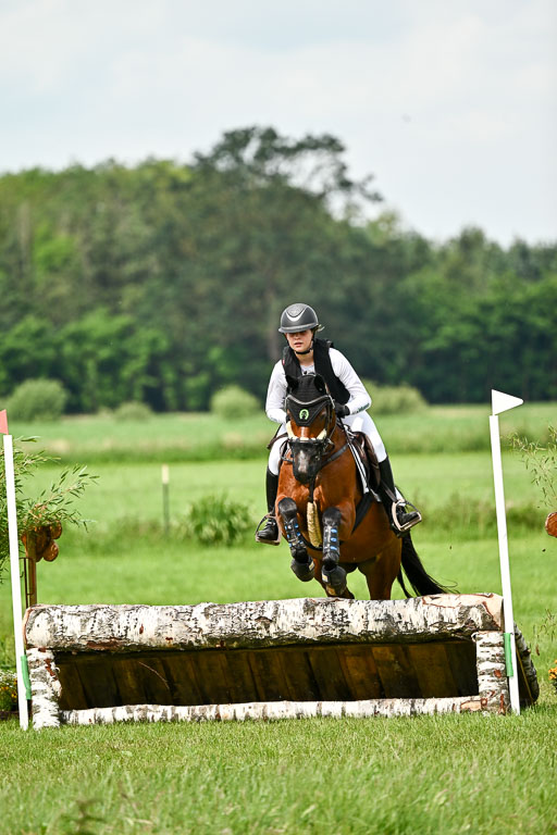 Goldene Schärpe Ponys in Löningen 2026 | 06062026 Gelände 1 Abt_1364 