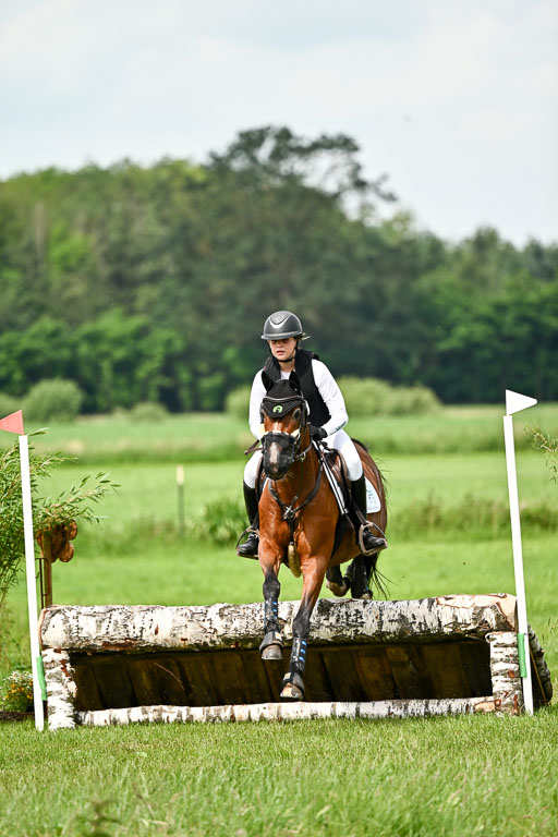 Goldene Schärpe Ponys in Löningen 2026 | 06062026 Gelände 1 Abt_1365 