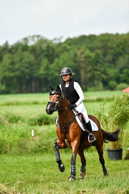 Goldene Schärpe Ponys in Löningen 2026 | 06062026 Gelände 1 Abt_1368 
