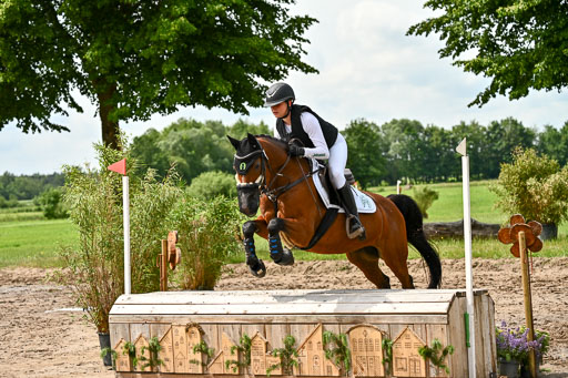 Goldene Schärpe Ponys in Löningen 2026 | 06062026 Gelände 1 Abt_1371 