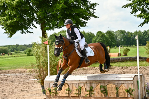 Goldene Schärpe Ponys in Löningen 2026 | 06062026 Gelände 1 Abt_1372 