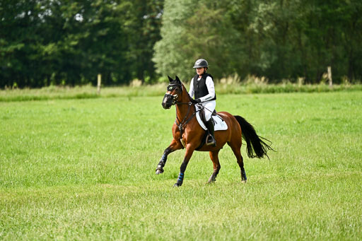 Goldene Schärpe Ponys in Löningen 2026 | 06062026 Gelände 1 Abt_1373 