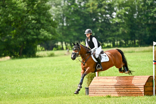 Goldene Schärpe Ponys in Löningen 2026 | 06062026 Gelände 1 Abt_1376 