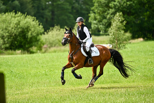 Goldene Schärpe Ponys in Löningen 2026 | 06062026 Gelände 1 Abt_1377 
