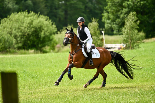 Goldene Schärpe Ponys in Löningen 2026 | 06062026 Gelände 1 Abt_1378 