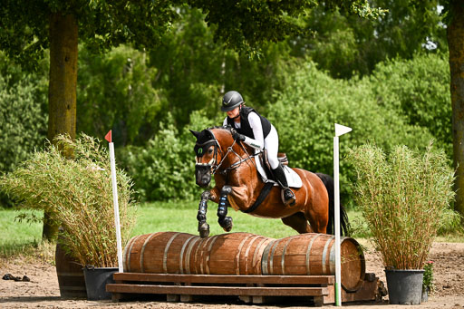 Goldene Schärpe Ponys in Löningen 2026 | 06062026 Gelände 1 Abt_1392 