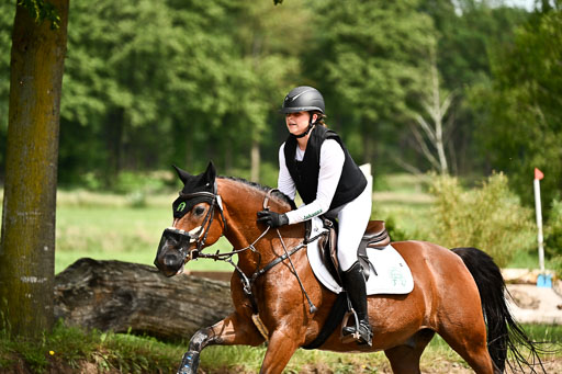 Goldene Schärpe Ponys in Löningen 2026 | 06062026 Gelände 1 Abt_1394 