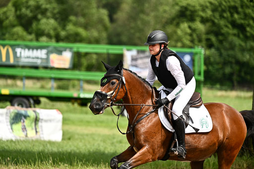 Goldene Schärpe Ponys in Löningen 2026 | 06062026 Gelände 1 Abt_1395 