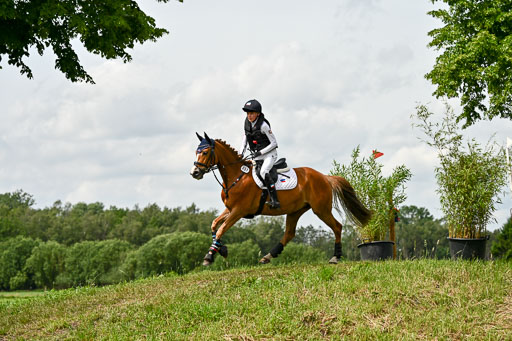 Goldene Schärpe Ponys in Löningen 2026 | 06062026 Gelände 1 Abt_1401 