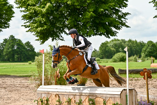 Goldene Schärpe Ponys in Löningen 2026 | 06062026 Gelände 1 Abt_1402 