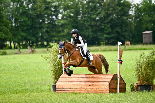 Goldene Schärpe Ponys in Löningen 2026 | 06062026 Gelände 1 Abt_1406 