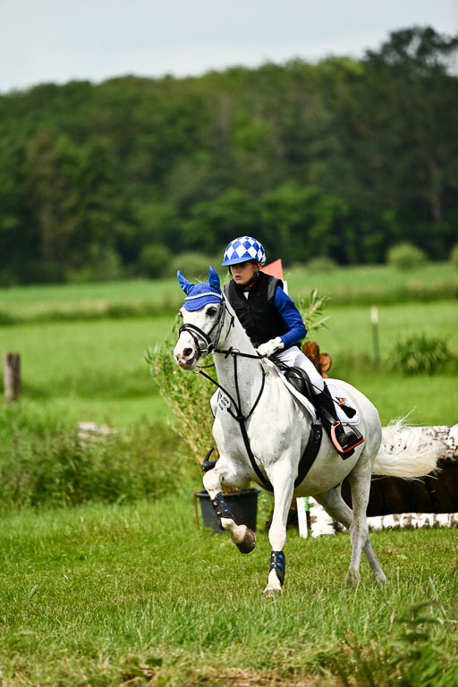 Goldene Schärpe Ponys in Löningen 2026 | 06062026 Gelände 1 Abt_1424 