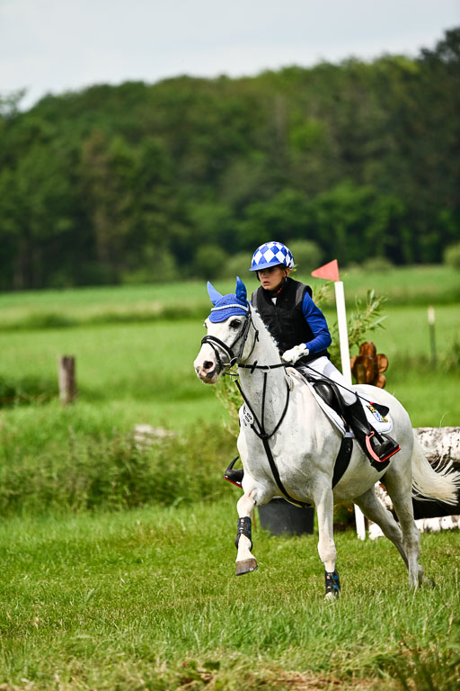 Goldene Schärpe Ponys in Löningen 2026 | 06062026 Gelände 1 Abt_1425 