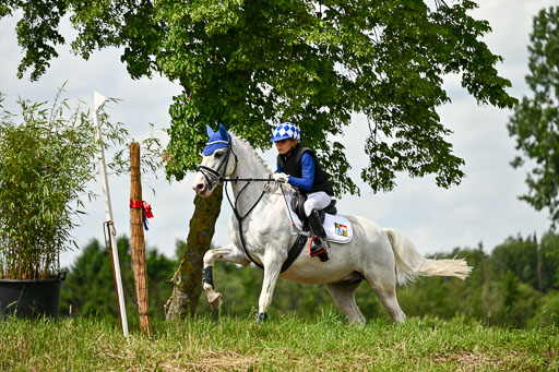 Goldene Schärpe Ponys in Löningen 2026 | 06062026 Gelände 1 Abt_1427 