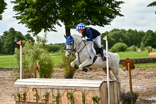 Goldene Schärpe Ponys in Löningen 2026 | 06062026 Gelände 1 Abt_1428 