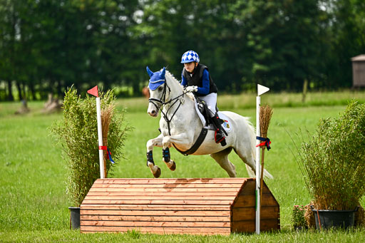 Goldene Schärpe Ponys in Löningen 2026 | 06062026 Gelände 1 Abt_1435 