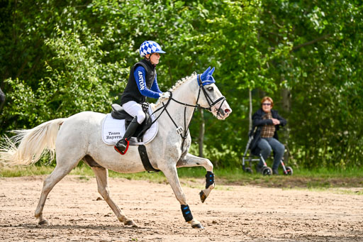 Goldene Schärpe Ponys in Löningen 2026 | 06062026 Gelände 1 Abt_1448 
