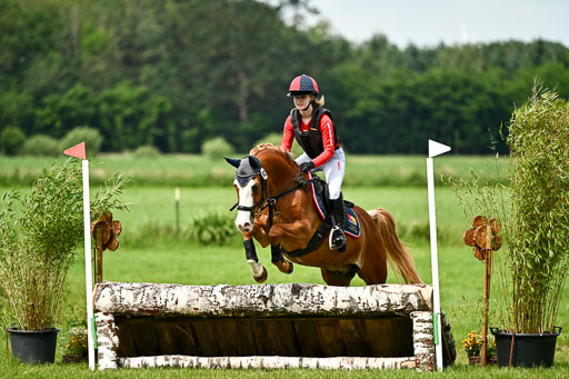 Goldene Schärpe Ponys in Löningen 2026 | 06062026 Gelände 1 Abt_1454 