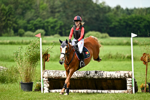 Goldene Schärpe Ponys in Löningen 2026 | 06062026 Gelände 1 Abt_1455 