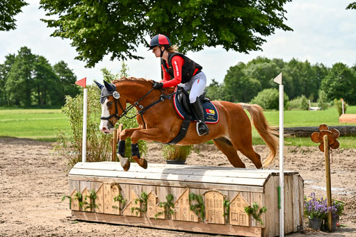 Goldene Schärpe Ponys in Löningen 2026 | 06062026 Gelände 1 Abt_1458 