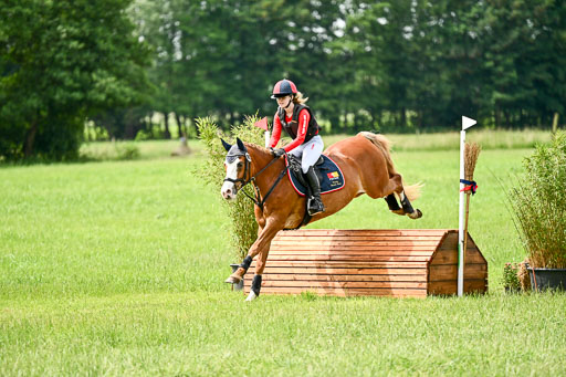 Goldene Schärpe Ponys in Löningen 2026 | 06062026 Gelände 1 Abt_1463 