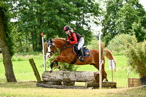 Goldene Schärpe Ponys in Löningen 2026 | 06062026 Gelände 1 Abt_1465 