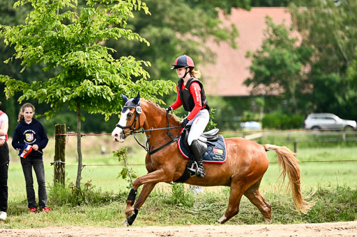 Goldene Schärpe Ponys in Löningen 2026 | 06062026 Gelände 1 Abt_1471 