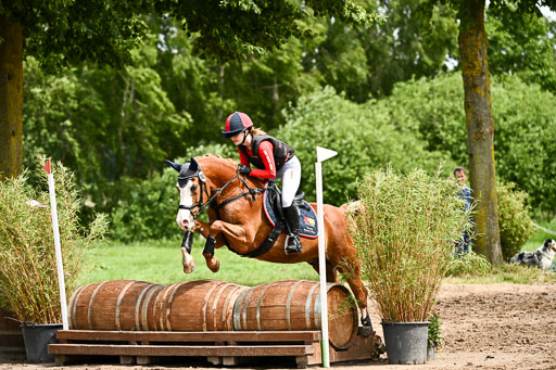 Goldene Schärpe Ponys in Löningen 2026 | 06062026 Gelände 1 Abt_1472 