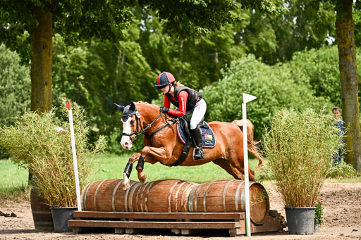 Goldene Schärpe Ponys in Löningen 2026 | 06062026 Gelände 1 Abt_1473 
