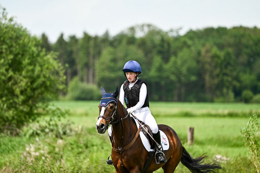 Goldene Schärpe Ponys in Löningen 2026 | 06062026 Gelände 1 Abt_1483 