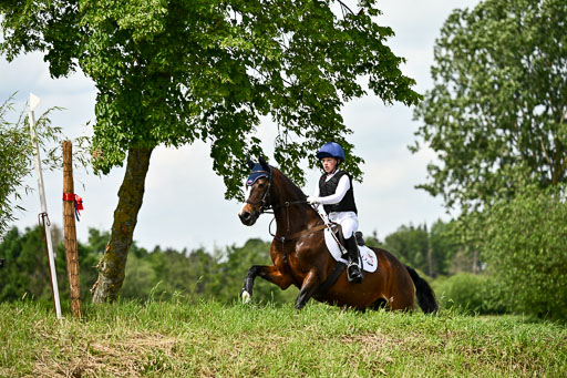 Goldene Schärpe Ponys in Löningen 2026 | 06062026 Gelände 1 Abt_1484 