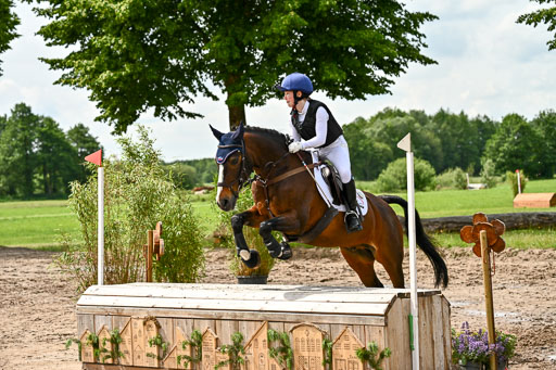 Goldene Schärpe Ponys in Löningen 2026 | 06062026 Gelände 1 Abt_1487 