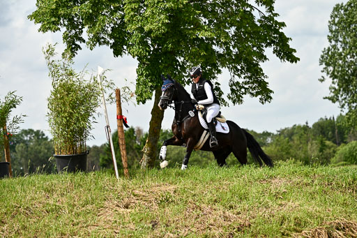 Goldene Schärpe Ponys in Löningen 2026 | 06062026 Gelände 1 Abt_1514 