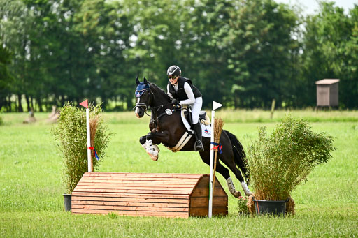 Goldene Schärpe Ponys in Löningen 2026 | 06062026 Gelände 1 Abt_1519 
