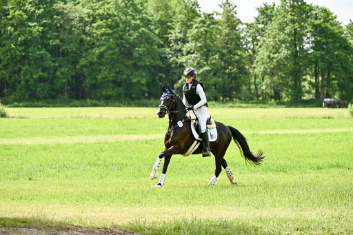 Goldene Schärpe Ponys in Löningen 2026 | 06062026 Gelände 1 Abt_1526 