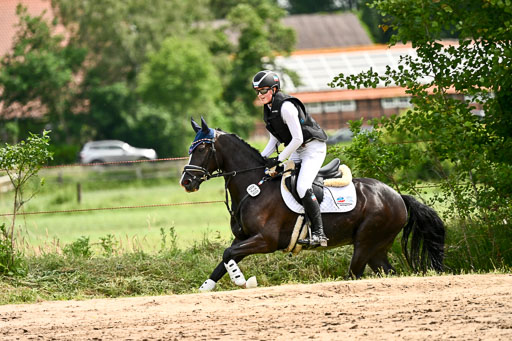 Goldene Schärpe Ponys in Löningen 2026 | 06062026 Gelände 1 Abt_1534 