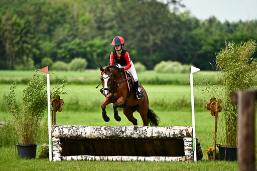 Goldene Schärpe Ponys in Löningen 2026 | 06062026 Gelände 1 Abt_1542 