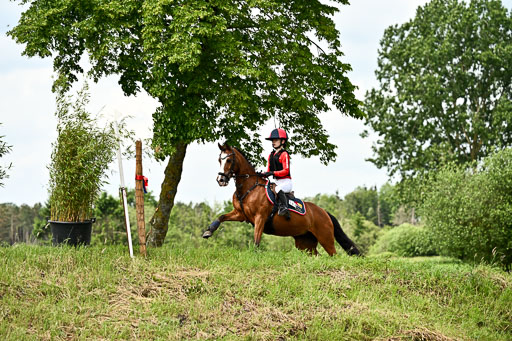 Goldene Schärpe Ponys in Löningen 2026 | 06062026 Gelände 1 Abt_1545 