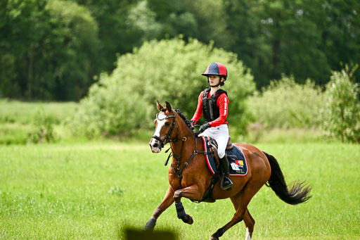 Goldene Schärpe Ponys in Löningen 2026 | 06062026 Gelände 1 Abt_1554 