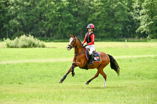Goldene Schärpe Ponys in Löningen 2026 | 06062026 Gelände 1 Abt_1555 