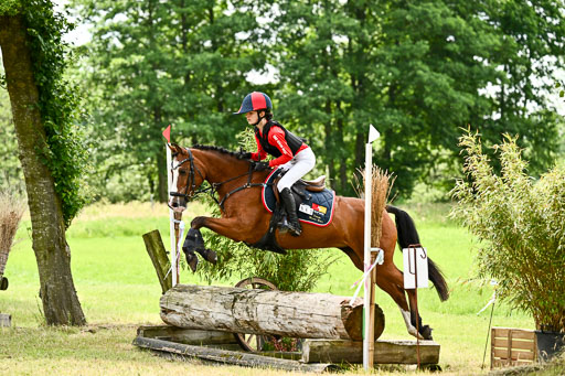Goldene Schärpe Ponys in Löningen 2026 | 06062026 Gelände 1 Abt_1557 