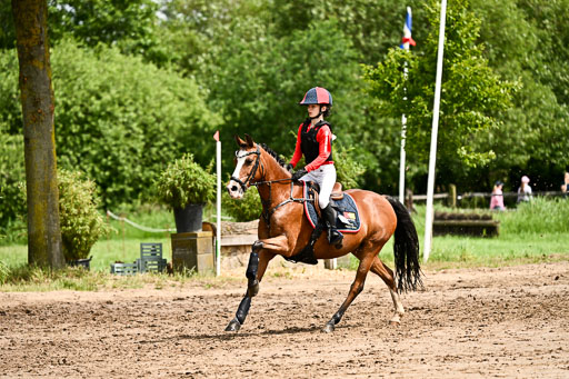 Goldene Schärpe Ponys in Löningen 2026 | 06062026 Gelände 1 Abt_1565 