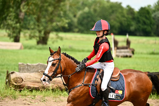 Goldene Schärpe Ponys in Löningen 2026 | 06062026 Gelände 1 Abt_1570 