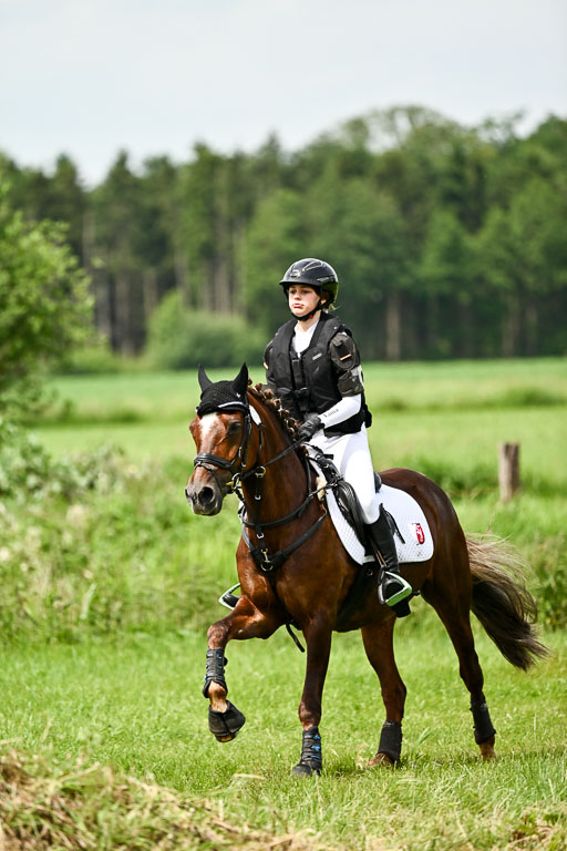 Goldene Schärpe Ponys in Löningen 2026 | 06062026 Gelände 1 Abt_1578 