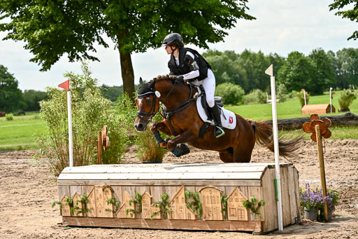 Goldene Schärpe Ponys in Löningen 2026 | 06062026 Gelände 1 Abt_1579 