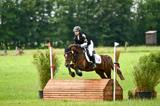 Goldene Schärpe Ponys in Löningen 2026 | 06062026 Gelände 1 Abt_1584 