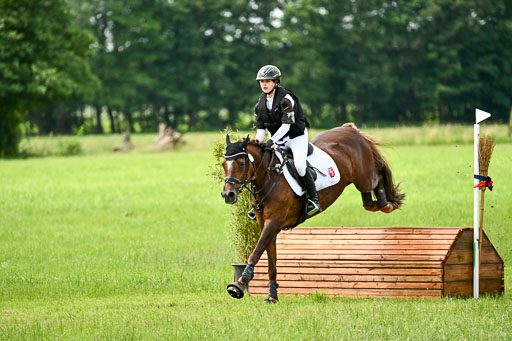 Goldene Schärpe Ponys in Löningen 2026 | 06062026 Gelände 1 Abt_1585 