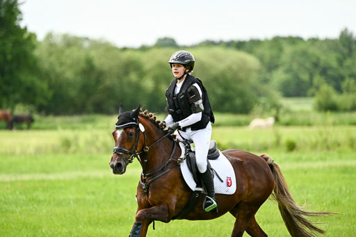 Goldene Schärpe Ponys in Löningen 2026 | 06062026 Gelände 1 Abt_1586 