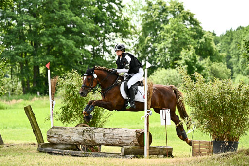 Goldene Schärpe Ponys in Löningen 2026 | 06062026 Gelände 1 Abt_1588 